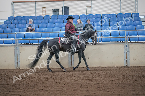 2019 Morgan Horse Show - Aug 31, 2019 - 10678