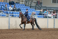 2020 - AB Morgan Horse - Sat, Sept 05 - 04752