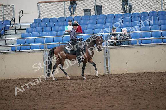 2019 Morgan Horse Show - Aug 31, 2019 - 06232
