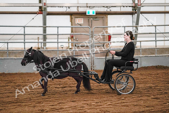 July 19, 2019 - 7032