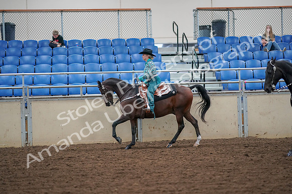 2019 Morgan Horse Show - Aug 30, 2019 - 16886