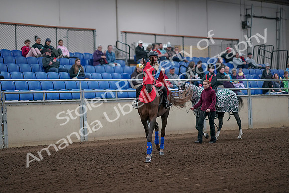 2019 Morgan Horse Show - Aug 31, 2019 - 09989