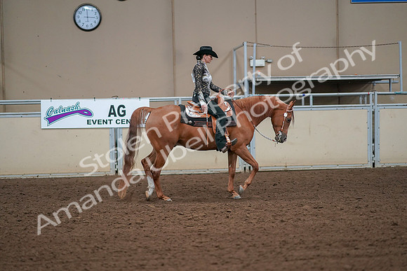 2019 Morgan Horse Show - Aug 30, 2019 - 17025