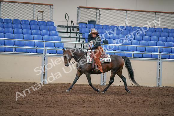 2020 - AB Morgan Horse - Sun, Sept 06 - 01611
