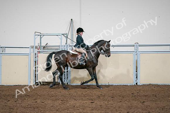 2020 - AB Morgan Horse - Sun, Sept 06 - 07969