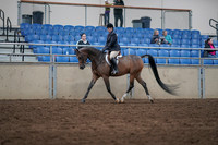 2019 Morgan Horse Show - Sept 01, 2019 - 08511