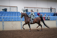 2019 Morgan Horse Show - Aug 30, 2019 - 17767