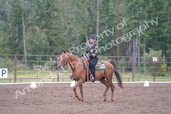 2019 Morgan Horse Show - Aug 30, 2019 - 00229