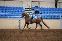 2020 - AB Morgan Horse - Sat, Sept 05 - 03319