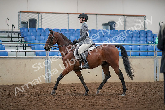 2019 Morgan Horse Show - Aug 30, 2019 - 23198