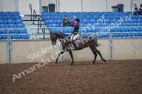 2019 Morgan Horse Show - Aug 30, 2019 - 20567