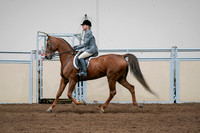 2020 - AB Morgan Horse - Sat, Sept 05 - 03048