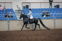 2019 Morgan Horse Show - Aug 31, 2019 - 09235