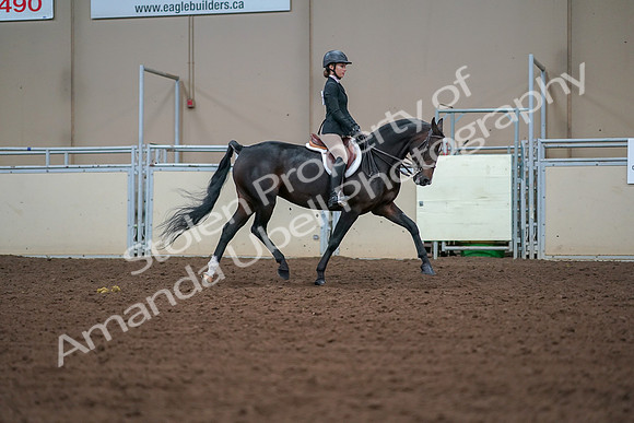 2019 Morgan Horse Show - Aug 30, 2019 - 20774