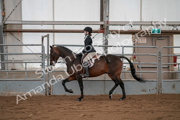 July 19, 2019 - 2604