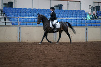 2019 Morgan Horse Show - Aug 30, 2019 - 18296