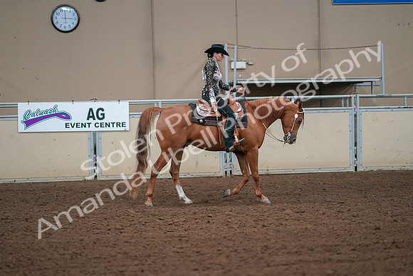 2019 Morgan Horse Show - Aug 30, 2019 - 17031
