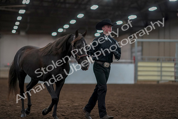 2019 Morgan Horse Show - Aug 31, 2019 - 01915