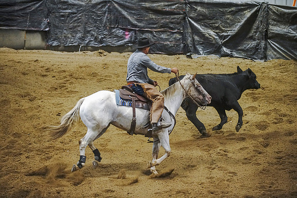 DSC01002