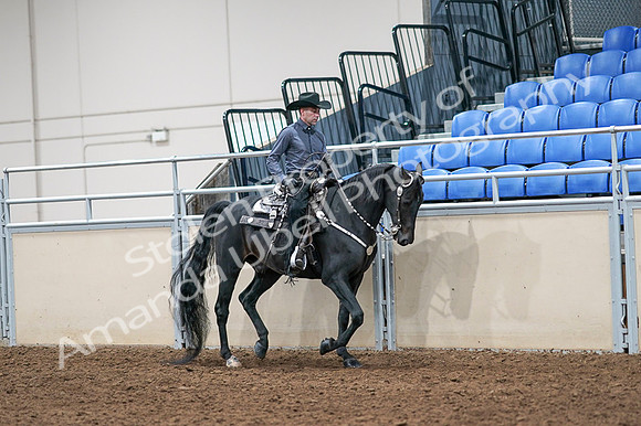 2020 - AB Morgan Horse - Fri, Sept 04 - 08463