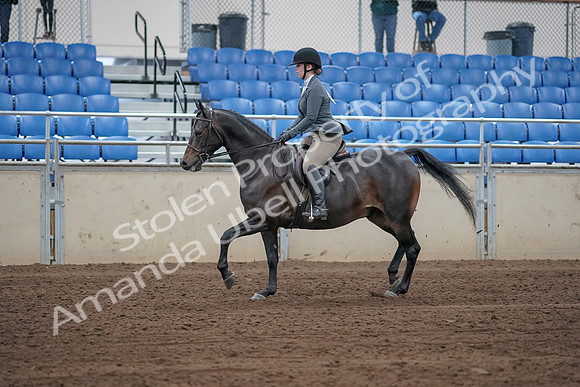 2019 Morgan Horse Show - Sept 01, 2019 - 10937