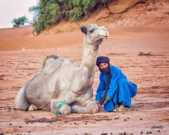 Morocco - 003