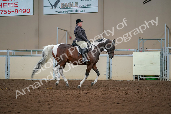 2019 Morgan Horse Show - Aug 30, 2019 - 22580