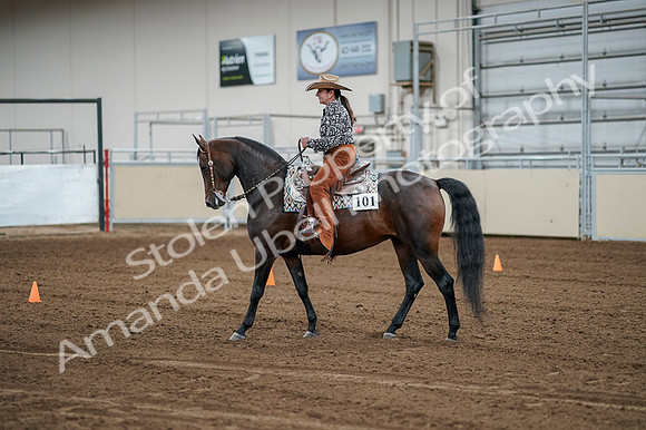 2020 - AB Morgan Horse - Fri, Sept 04 - 00074
