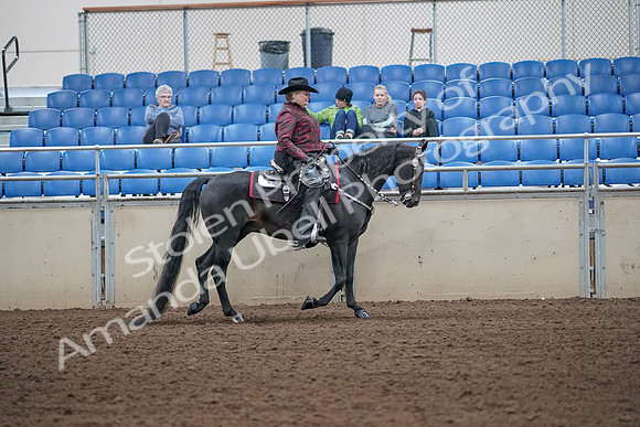 2019 Morgan Horse Show - Aug 31, 2019 - 10760