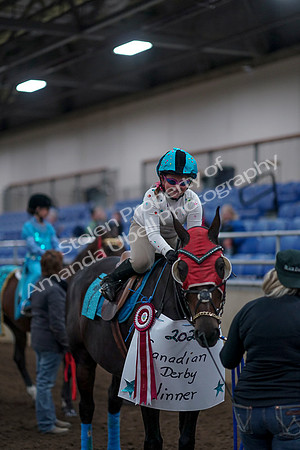2019 Morgan Horse Show - Aug 31, 2019 - 10160