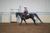 2020 - AB Morgan Horse - Sat, Sept 05 - 05666