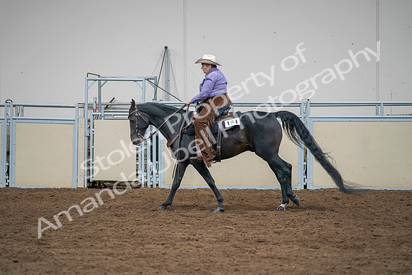 2020 - AB Morgan Horse - Sat, Sept 05 - 05666