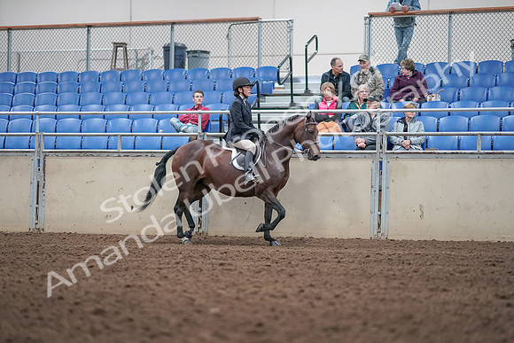 2019 Morgan Horse Show - Aug 31, 2019 - 19586