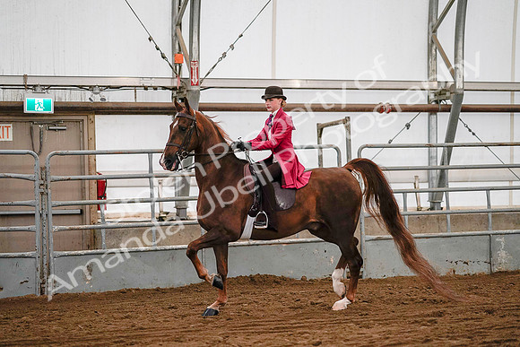 July 19, 2019 - 8731