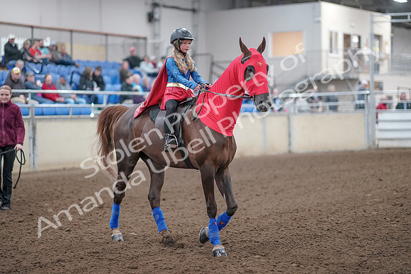 2019 Morgan Horse Show - Aug 31, 2019 - 09997