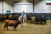 Herd Work - Non Pro Futurity