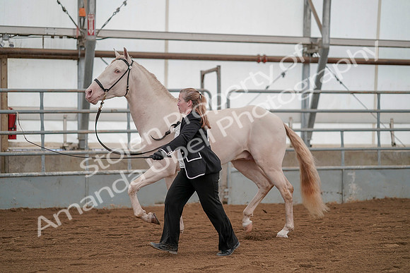 July 19, 2019 - 1326