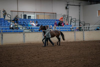2019 Morgan Horse Show - Aug 30, 2019 - 25673
