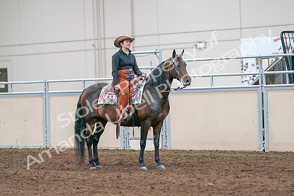 2020 - AB Morgan Horse - Sun, Sept 06 - 01657