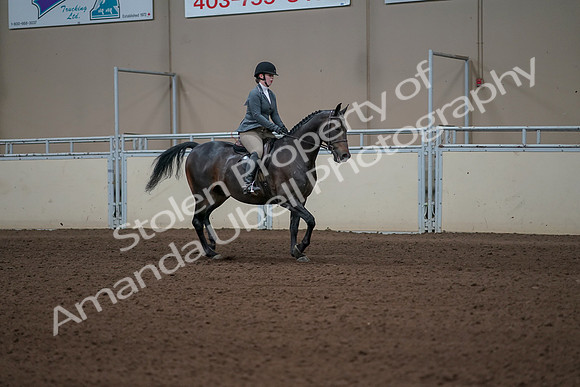 2019 Morgan Horse Show - Sept 01, 2019 - 11045