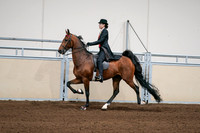 2020 - AB Morgan Horse - Sat, Sept 05 - 06699