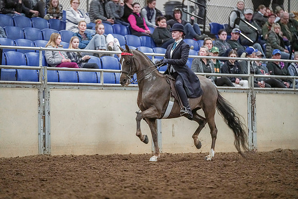 Spring Fling - Saturday - April 20, 2019  -  04281