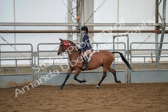 July 20, 2019 - 03510