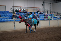 2019 Morgan Horse Show - Aug 31, 2019 - 09933