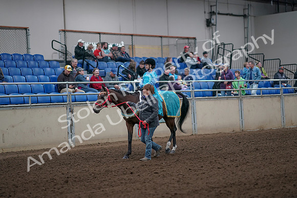 2019 Morgan Horse Show - Aug 31, 2019 - 09933