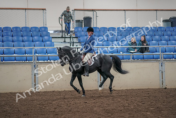 2019 Morgan Horse Show - Aug 31, 2019 - 07347