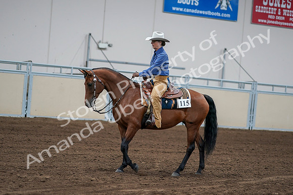 2020 - AB Morgan Horse - Fri, Sept 04 - 00155
