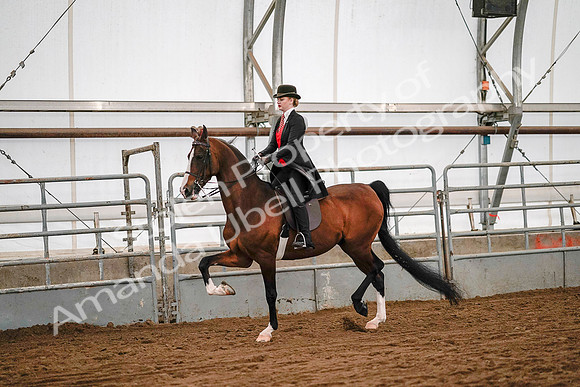 July 19, 2019 - 9041