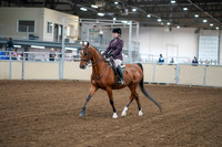 2020 - AB Morgan Horse - Fri, Sept 04 - 02213