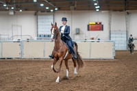 2020 - AB Morgan Horse - Sat, Sept 05 - 11371